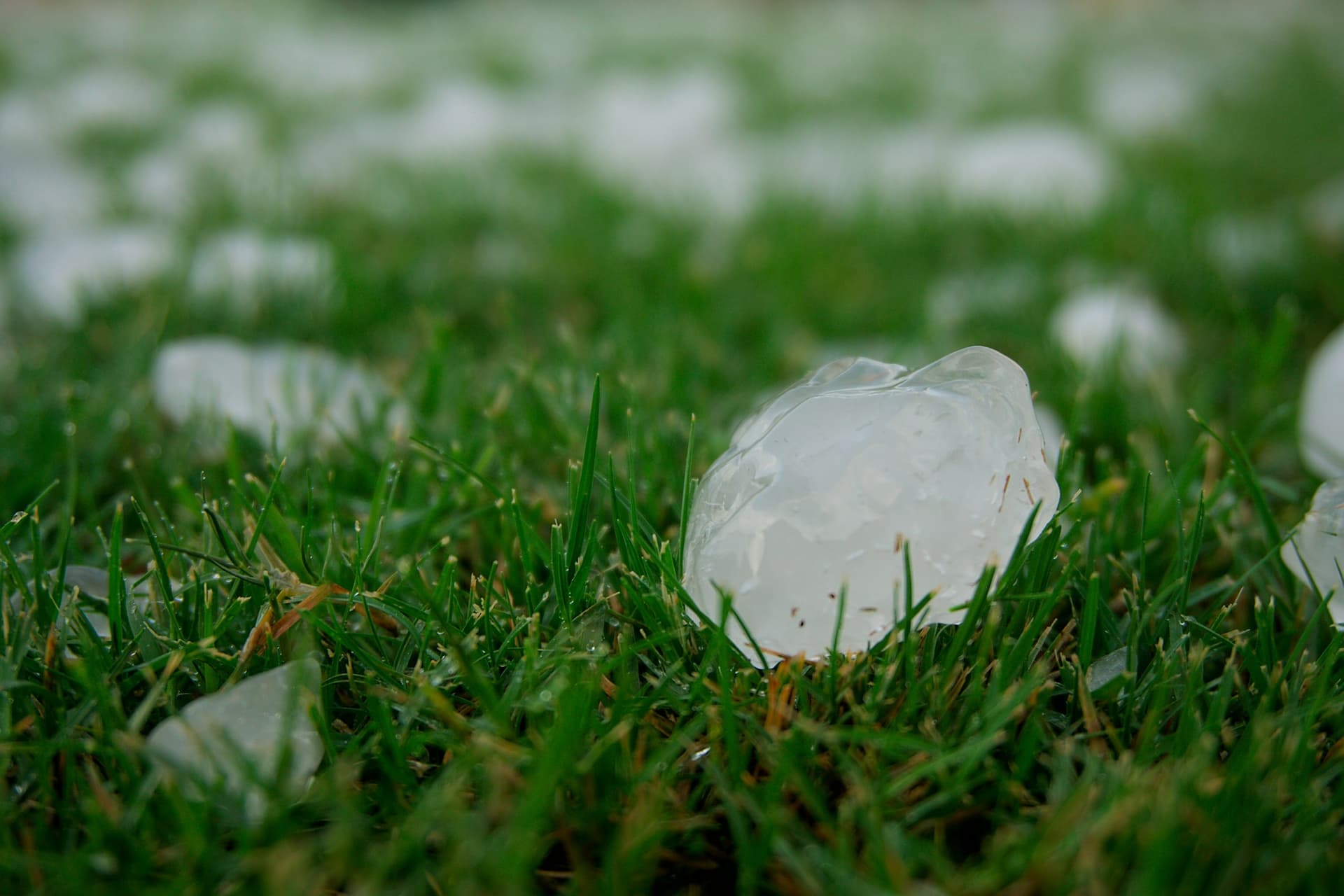 Large hailstone on a lawn after a storm