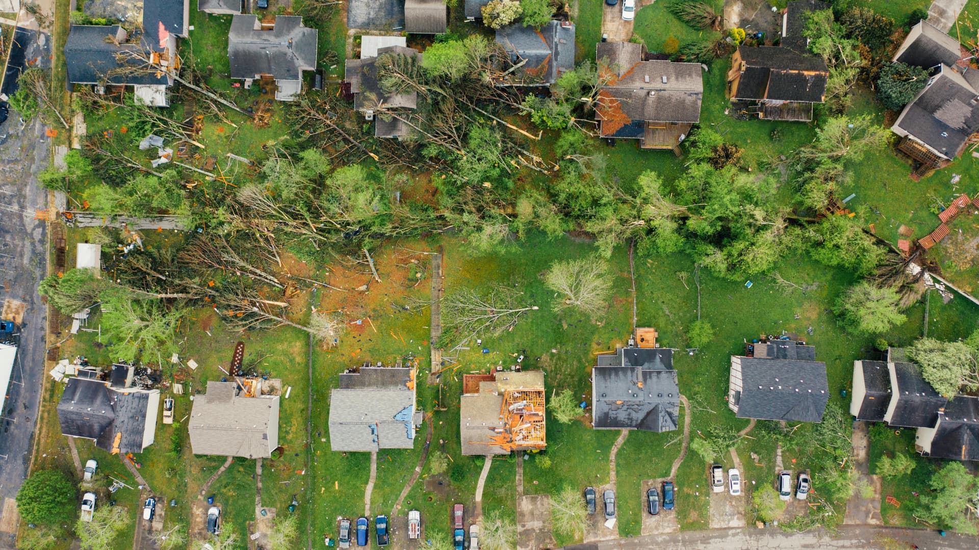 Aerial view of storm-damaged residential neighborhood with downed trees and exposed rooftops